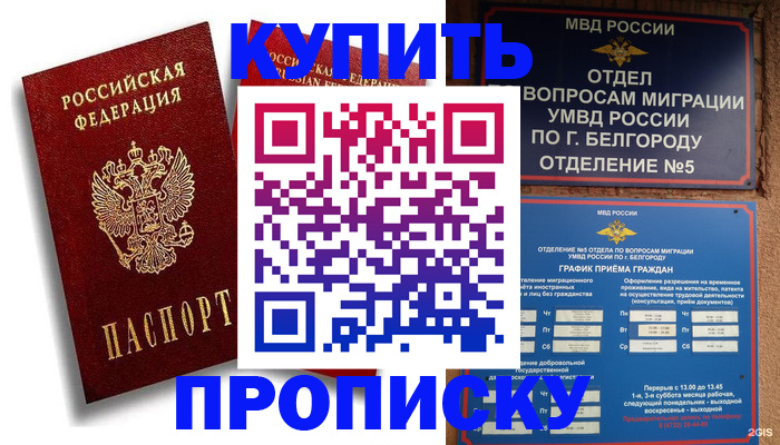 прописка иностранных граждан в Мирном